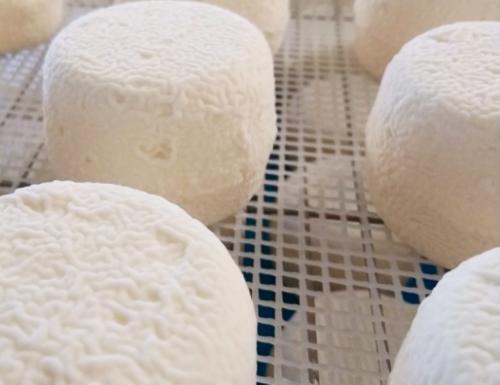 Marché de producteurs à St-Amand en Puisaye